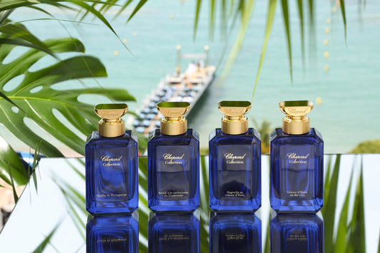 10 Best Long Lasting Niche Summer Perfumes for Men UAE 2026