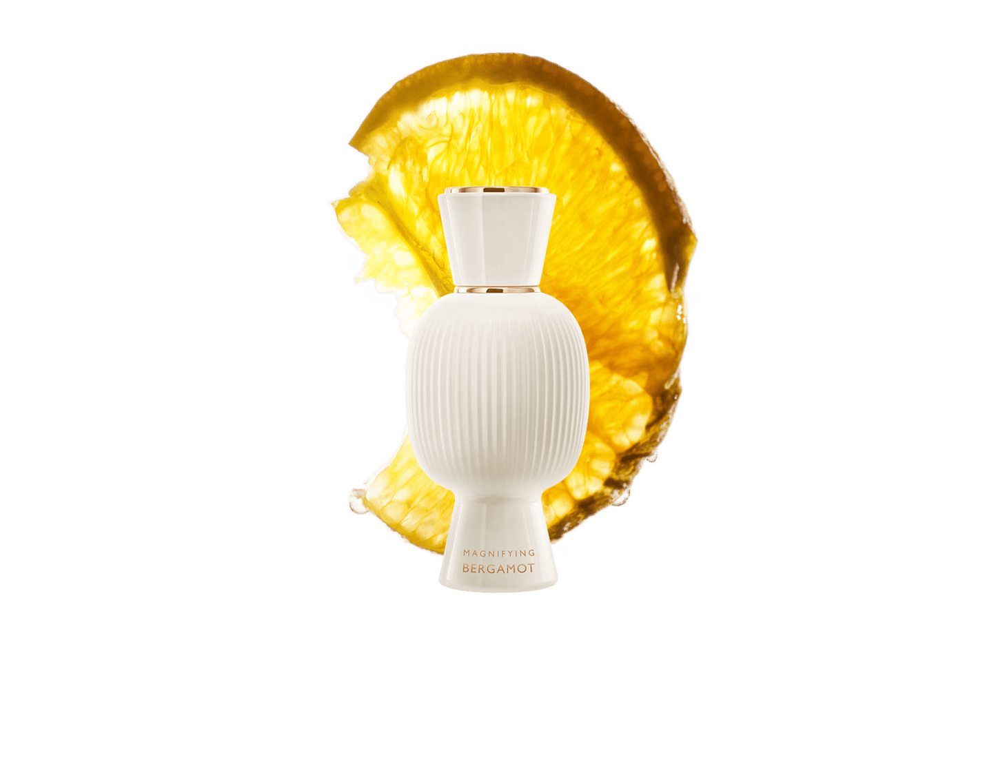 بولغاري أليجرا ماغنيفاينغ برغموت