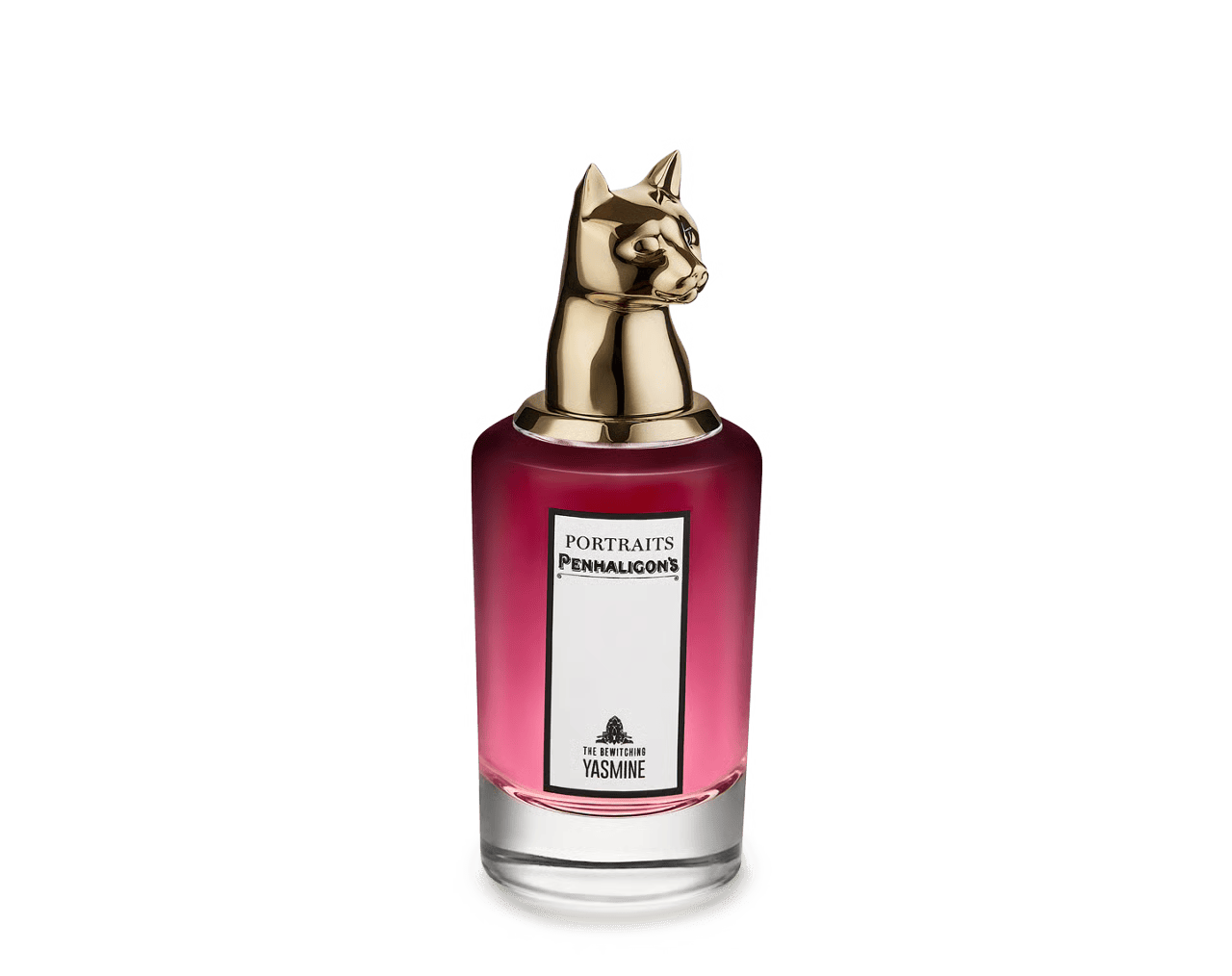 The Bewitching Yasmine